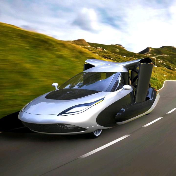 皇族沧海（手机摄影）