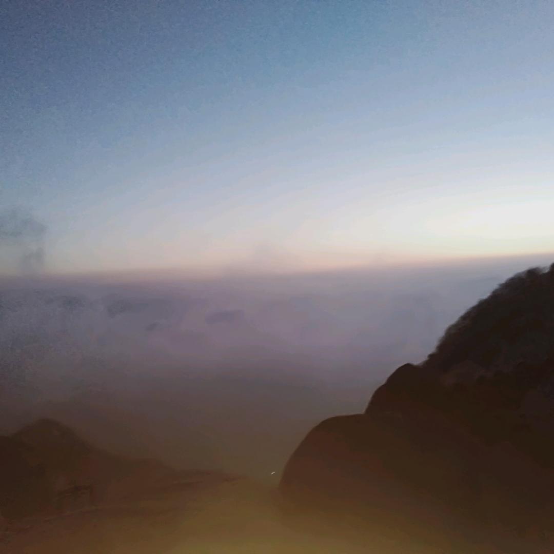 Ⅶ