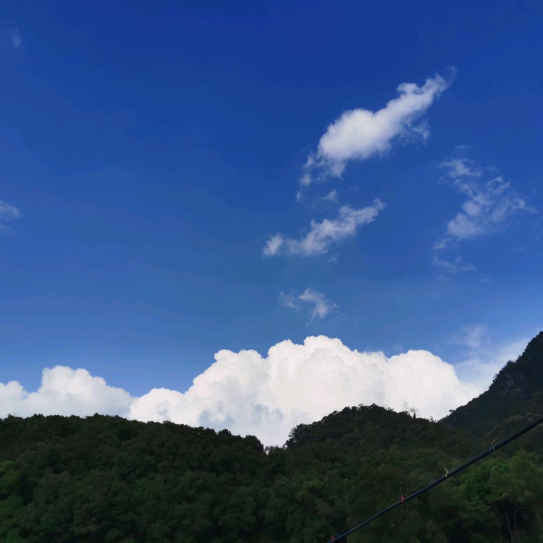 朱朱