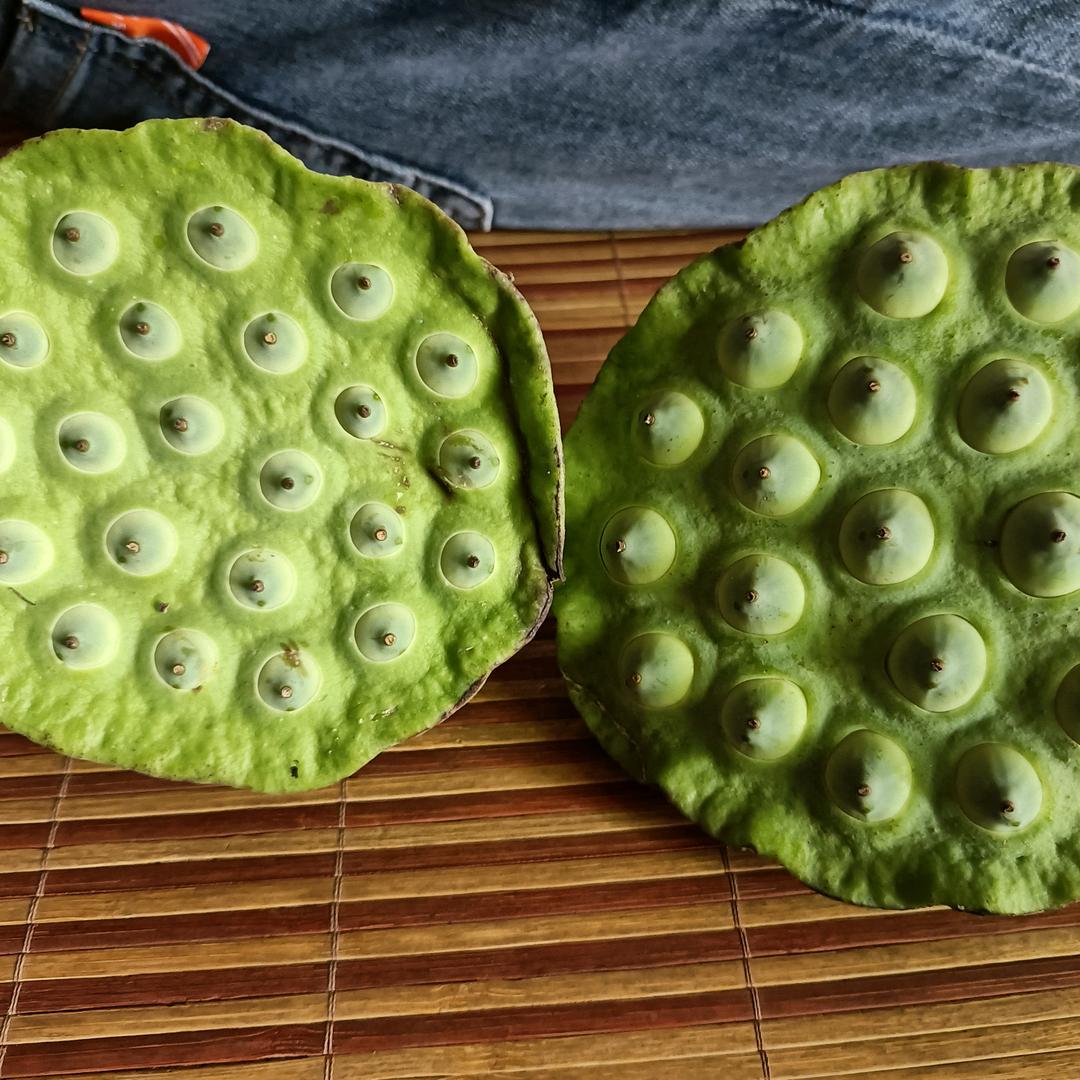 有种别让我翻身