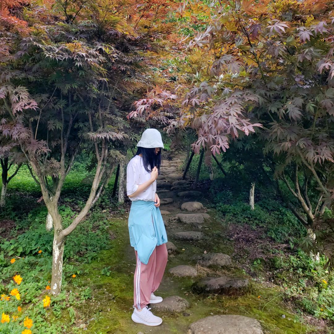 七仔漫游
