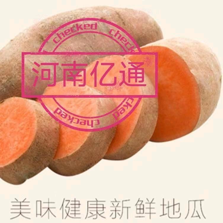 河南鹿邑亿通薯业