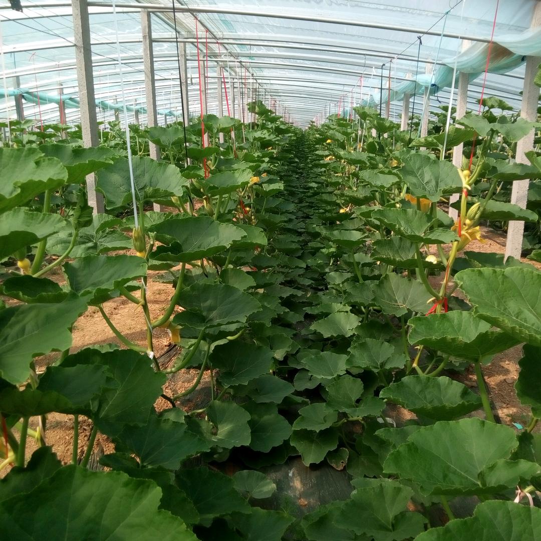 💞记忆🍹中的🌈过客☔