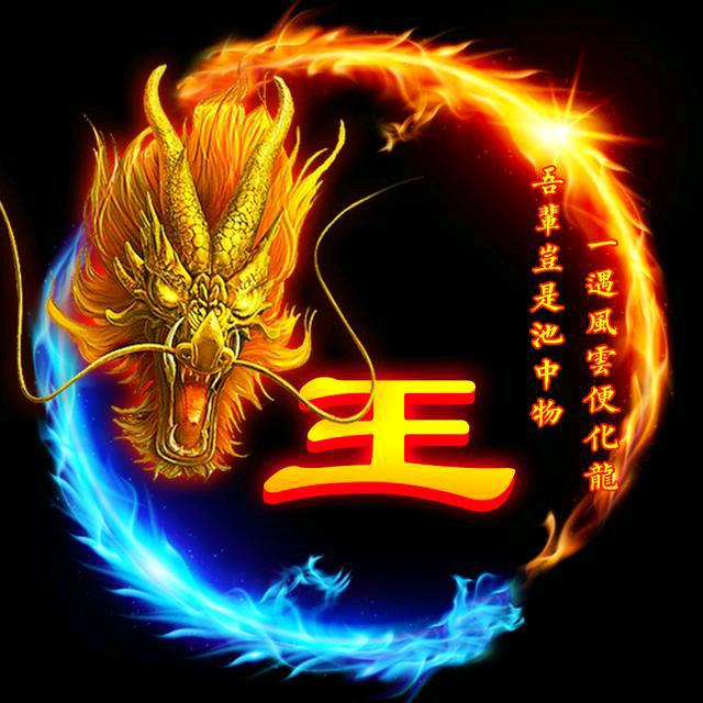 彝家小王子