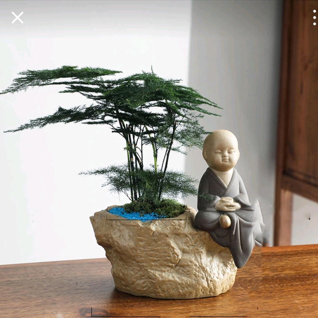 杜 先 生