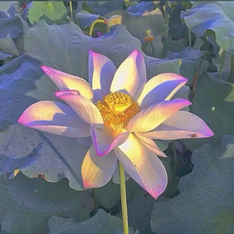 是学会爱我一辈子