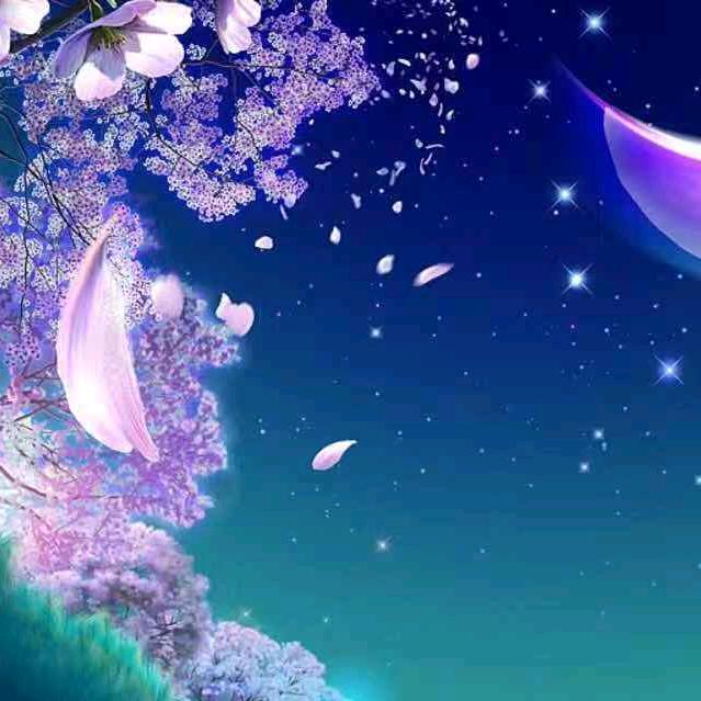 宝宝
