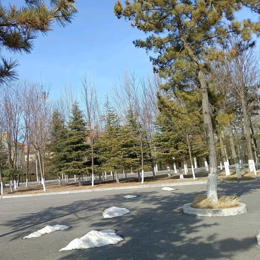 农家风光