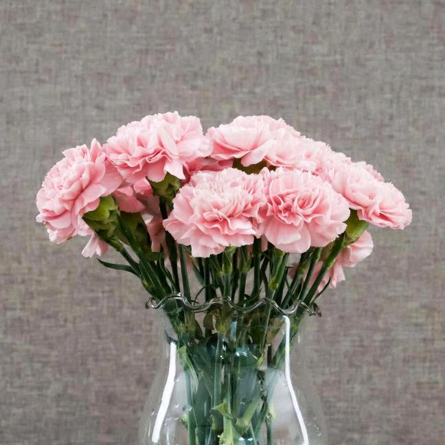 秀芳