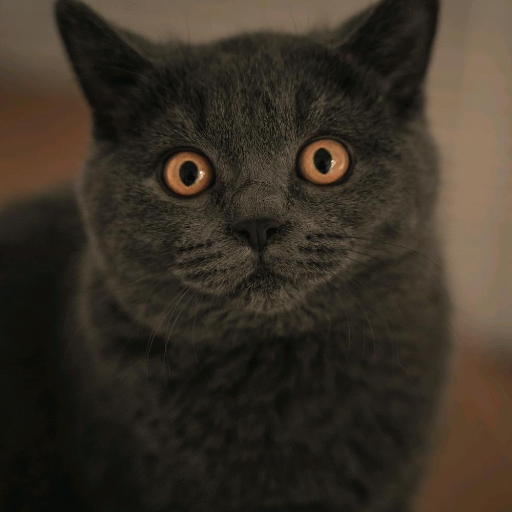梁振摄影📷
