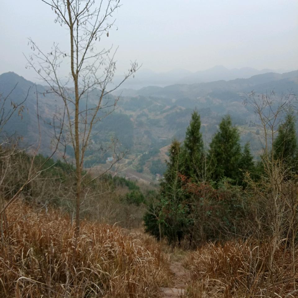 渝云凤院