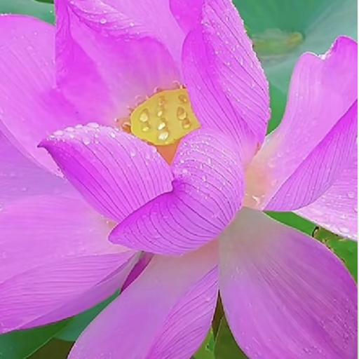 💝💖飞翔🇨🇳