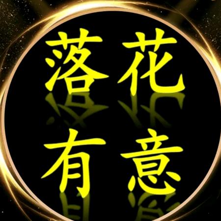 小杨哥