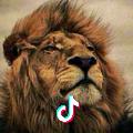lion.李³²