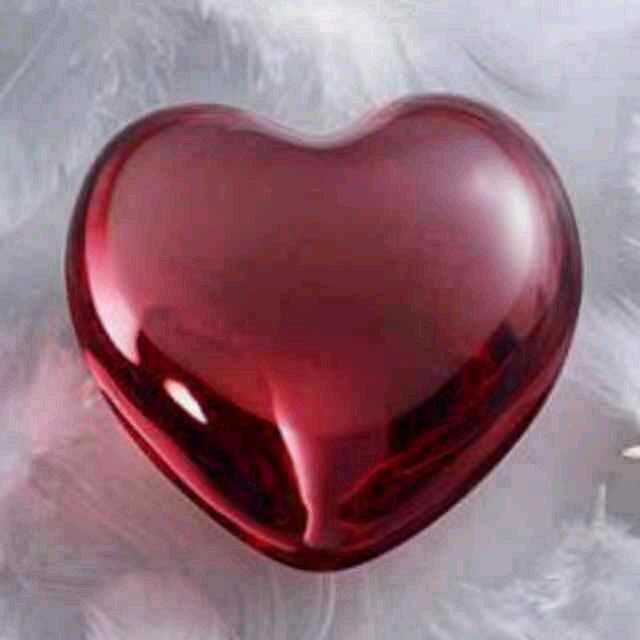 ❤️科施福肥料