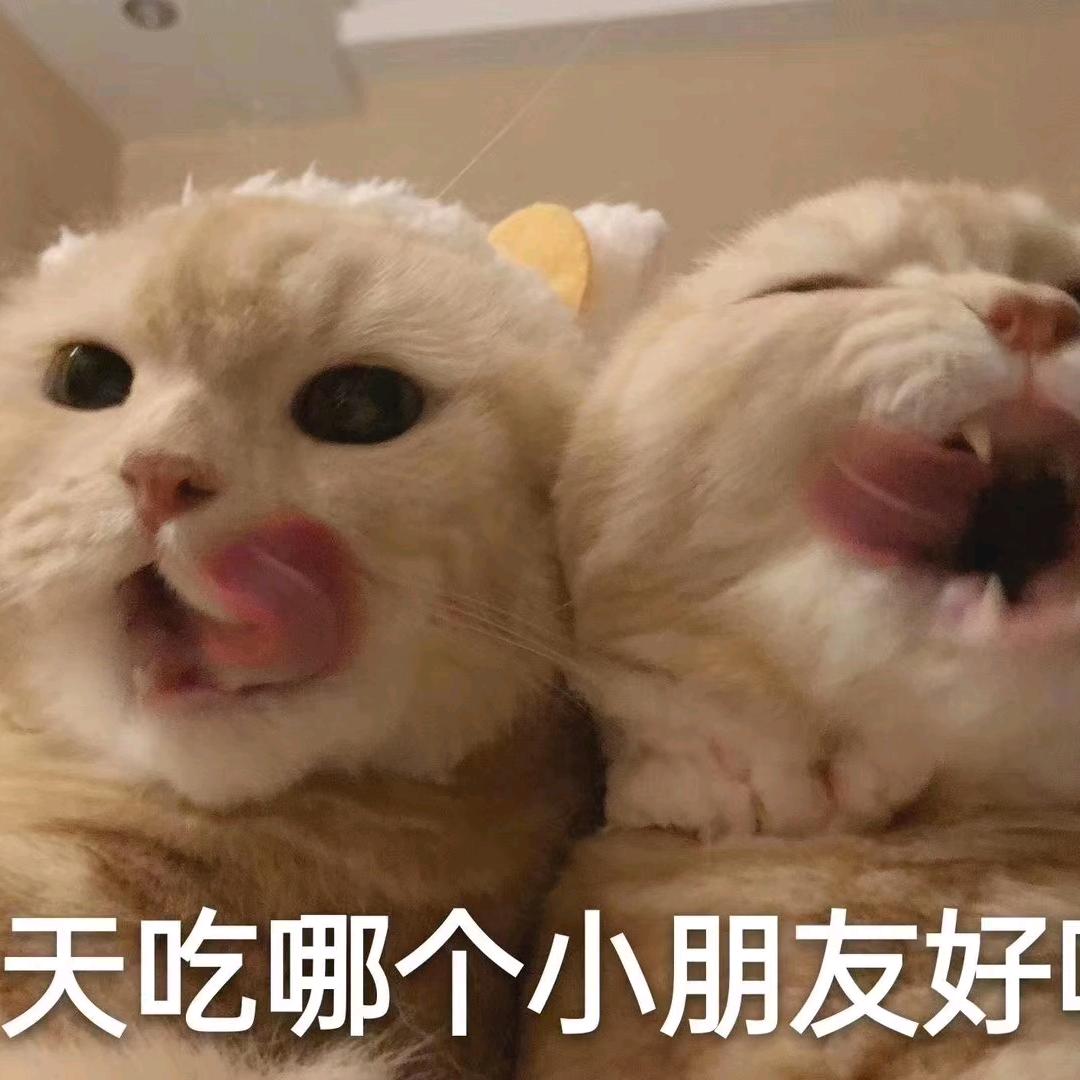 包子与寒小哲