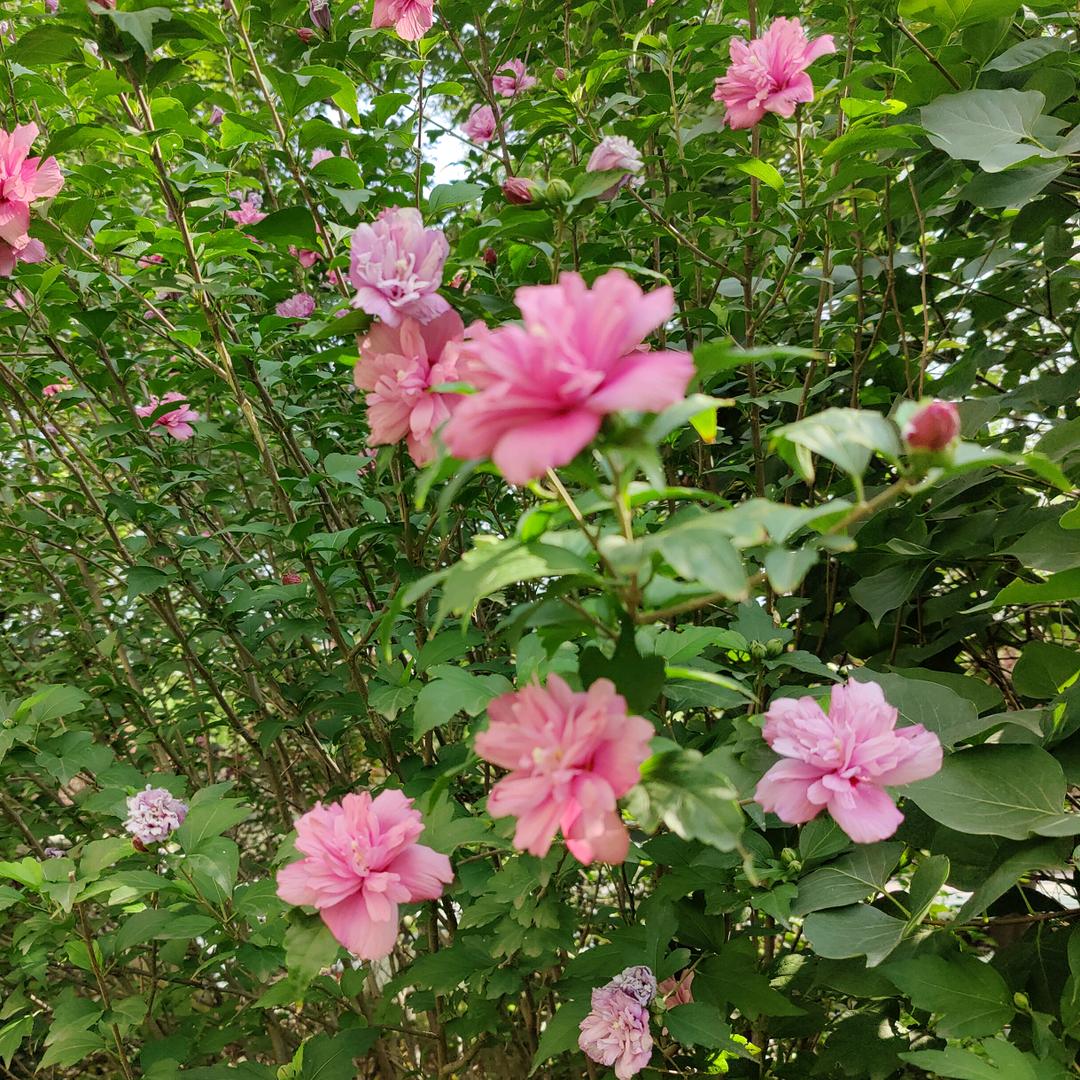 风雨同舟@