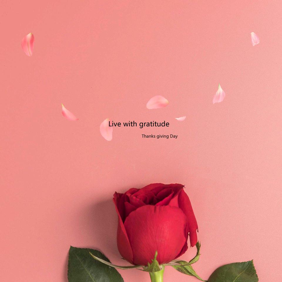 欢乐(◍•ᴗ•◍)