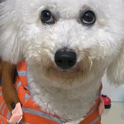 一个不为人知的小部落