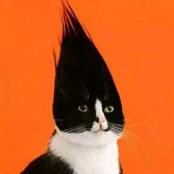 阳光会照亮每一个抬头的人