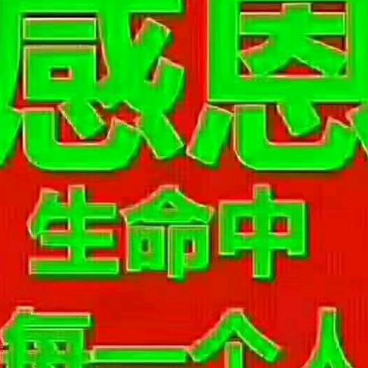 七里河区铴圆圆红火锅店