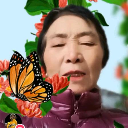 布衣农村生活