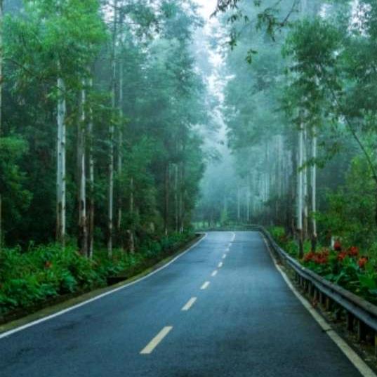 张前《ZHANGQIAN》