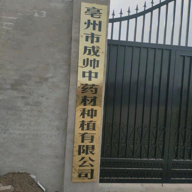 越过越好