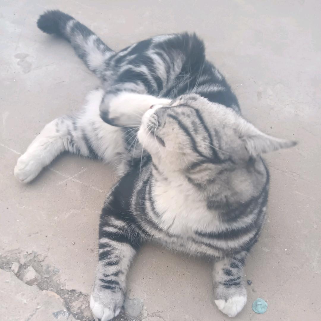 不会在乎我的人