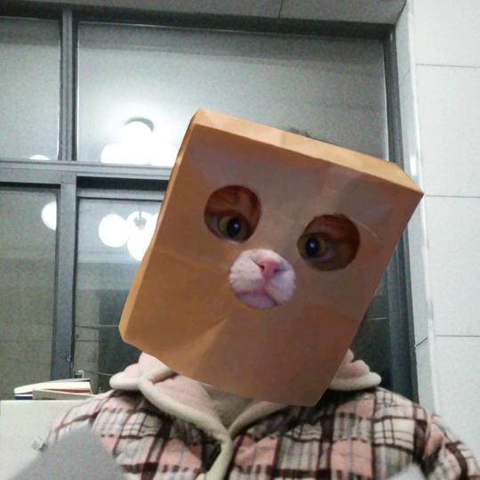 拒绝摆烂，直接躺平头像