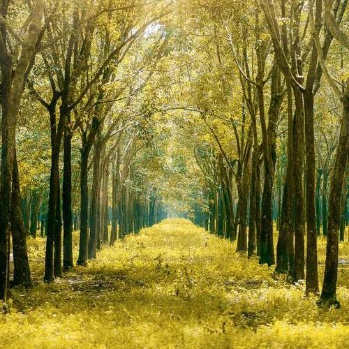 凉了时光伤了心