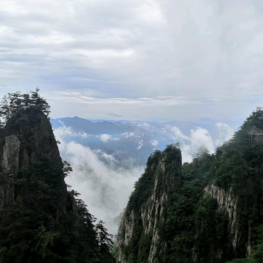 点点豆豆