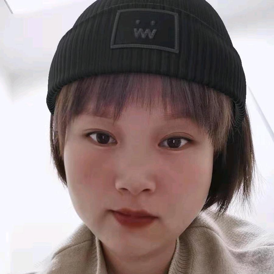 蓝牌自卸大全