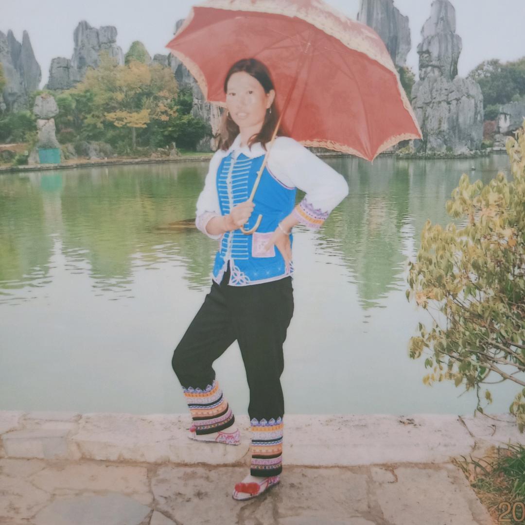 原谅我忘不了你