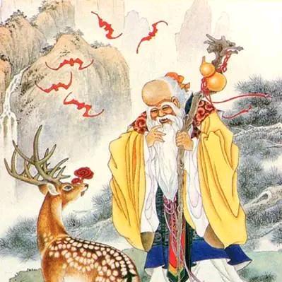 万年松