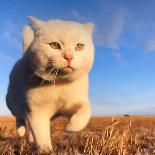 🌈❄️❄️❄️🌈