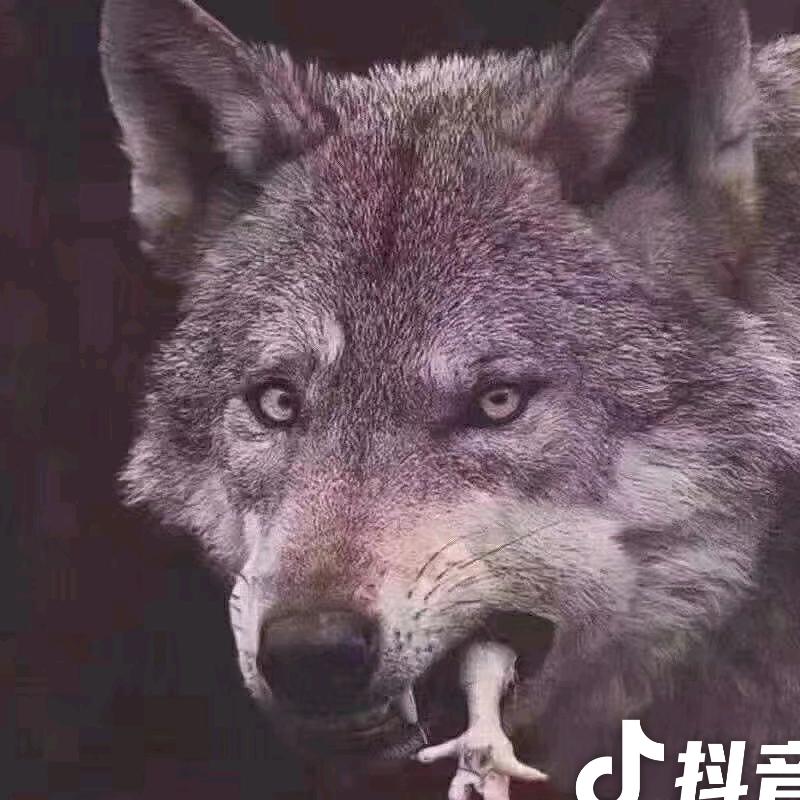 @老.兵