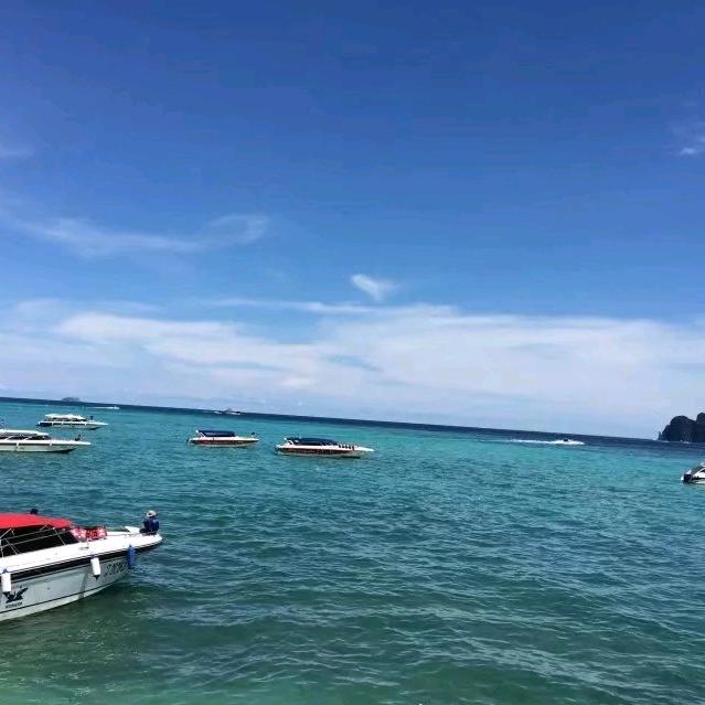 陶醉生活
