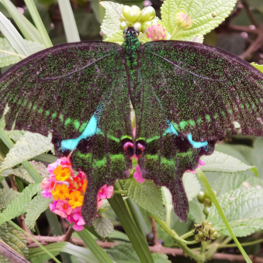 孤独的人心易碎