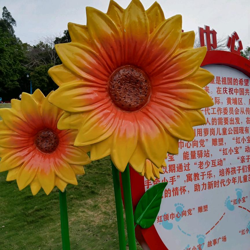 小兰