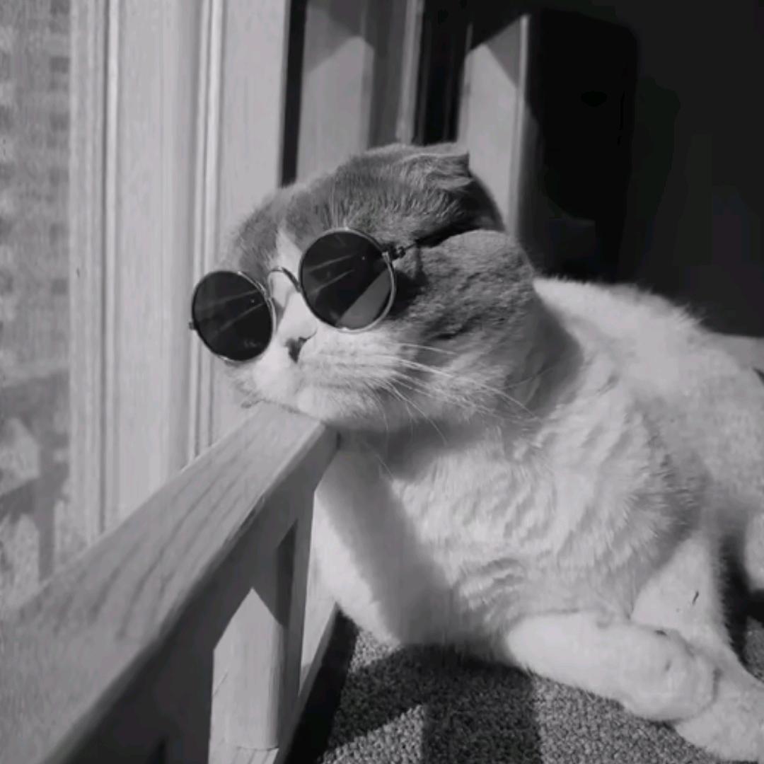 拾柒¹⁷