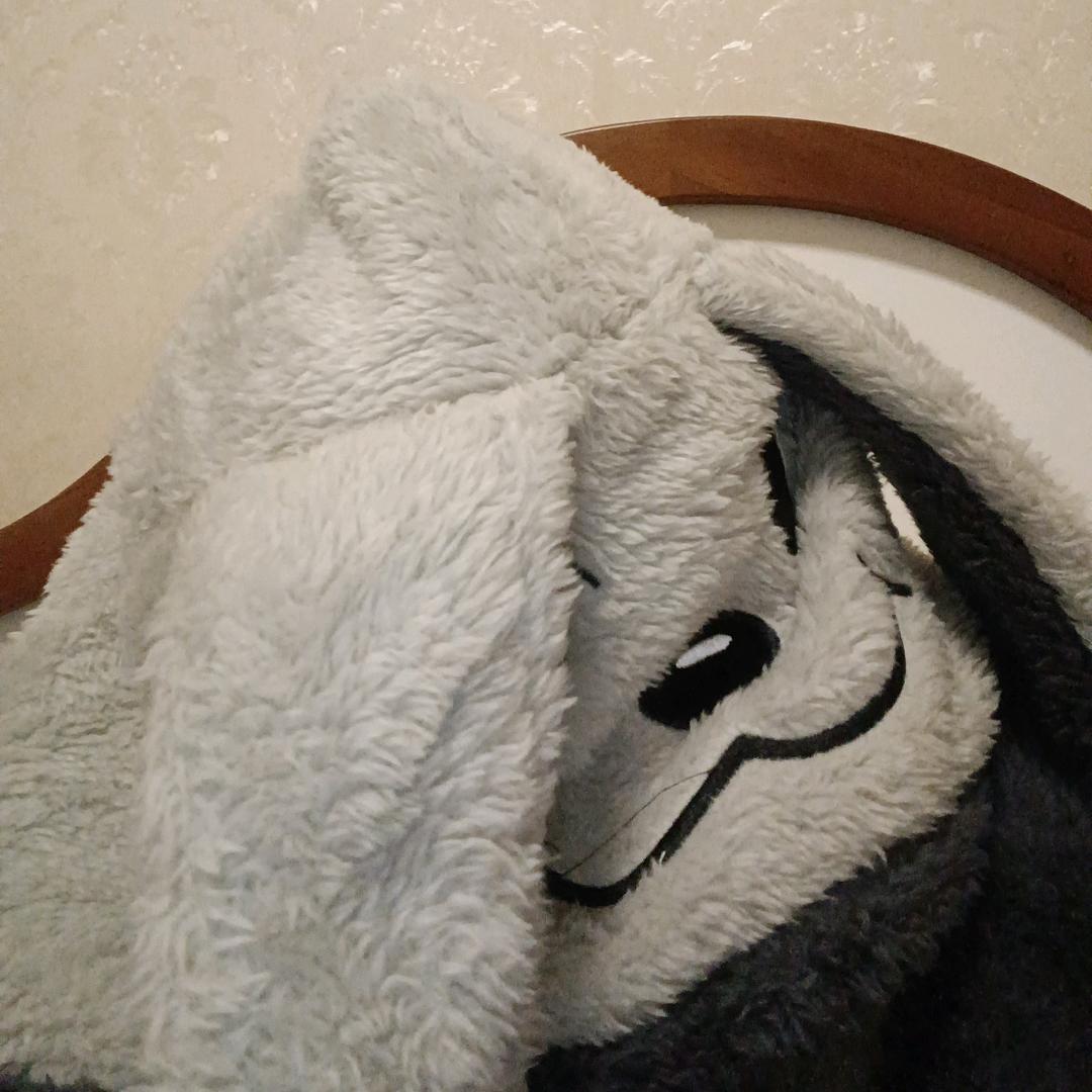 疯狂的蛋蛋🌷