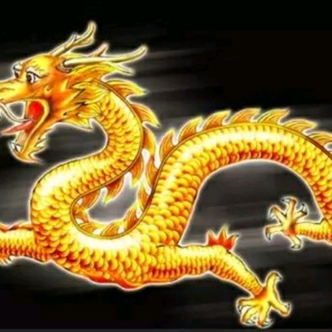 波哥