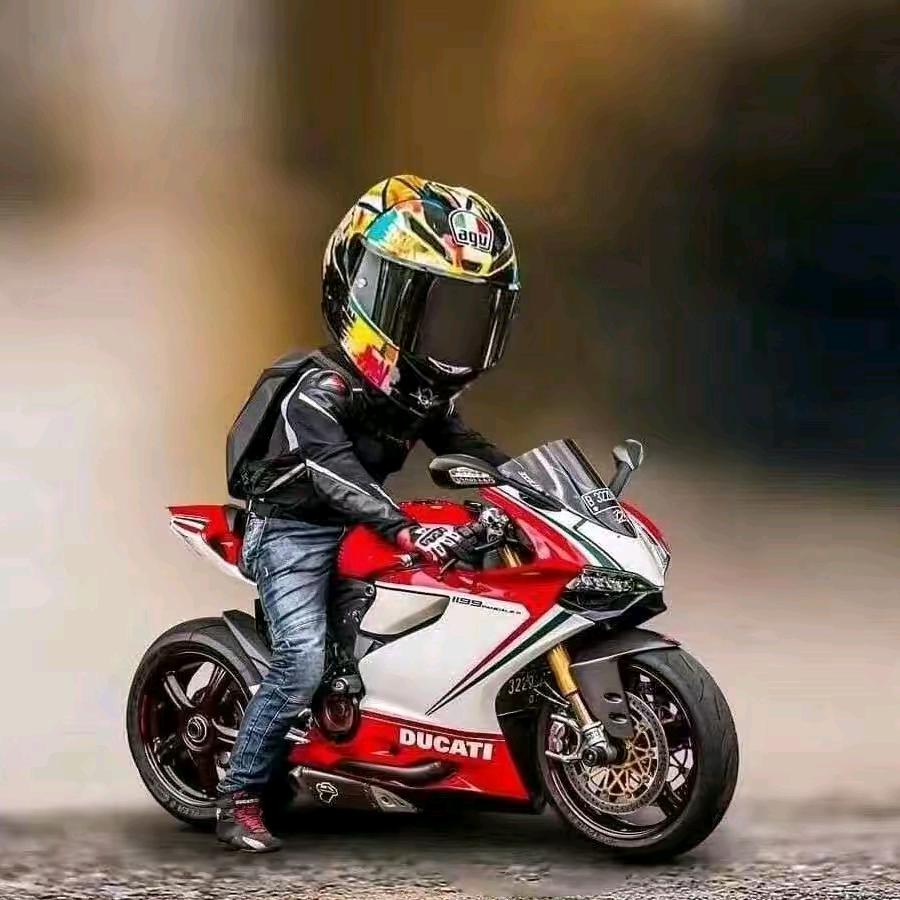 西桐🫧𓆡𓆝𓆟𓆜 𓆞𓆝