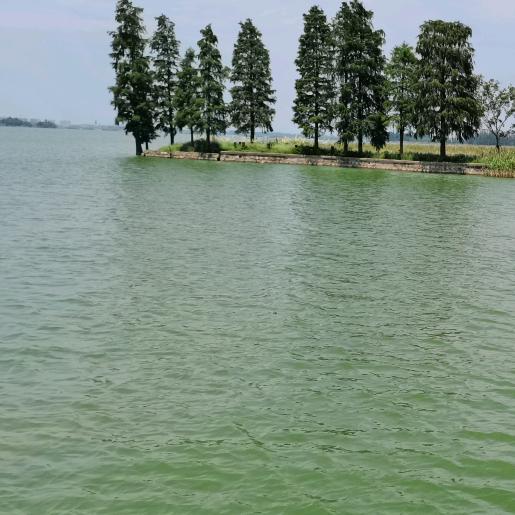 Jianghailong