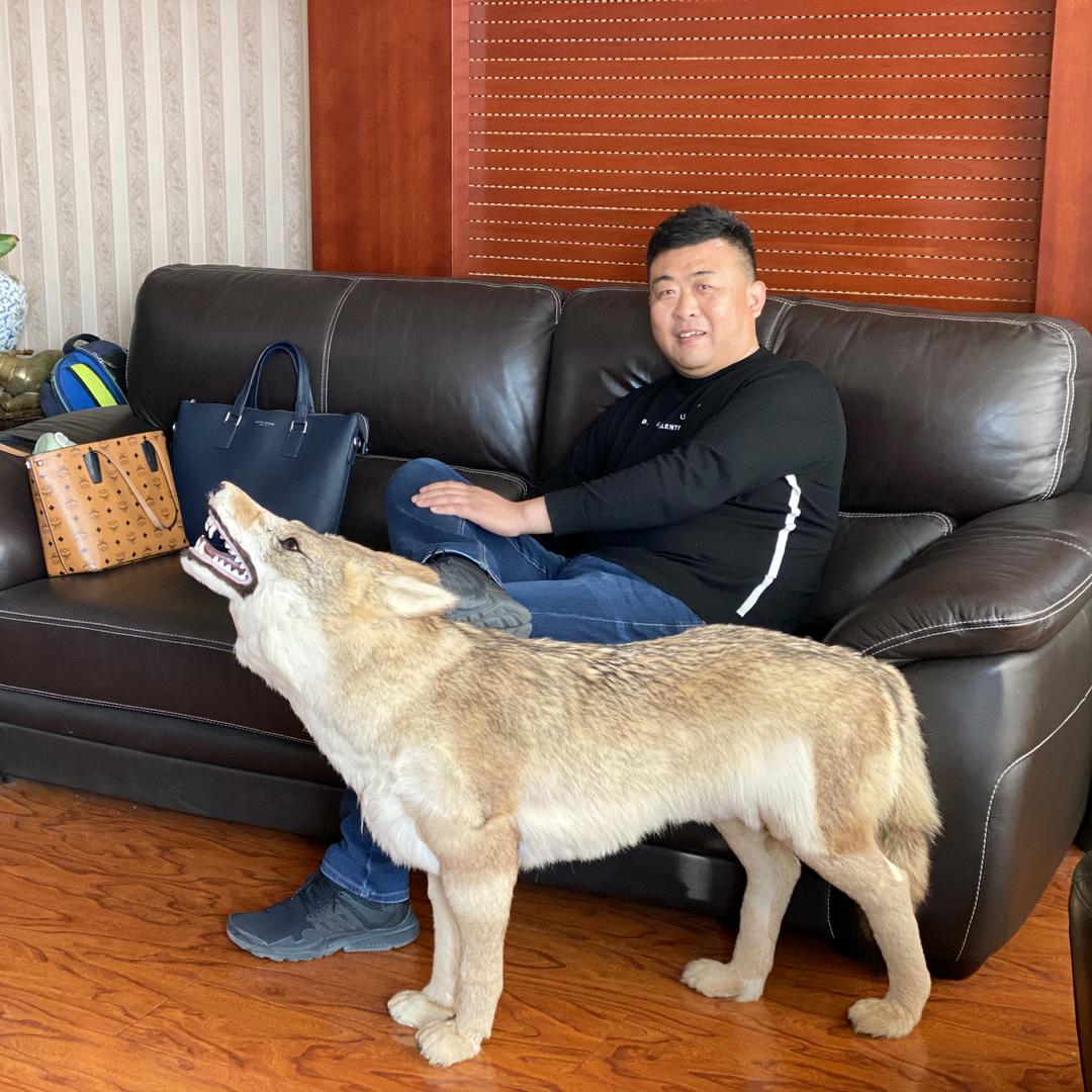 宏利钢丝
