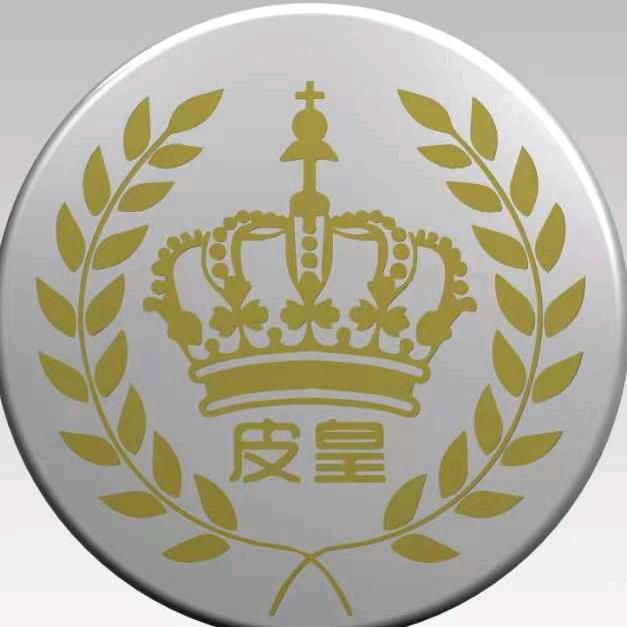 小提琴汽车用品商行（皮皇车品）