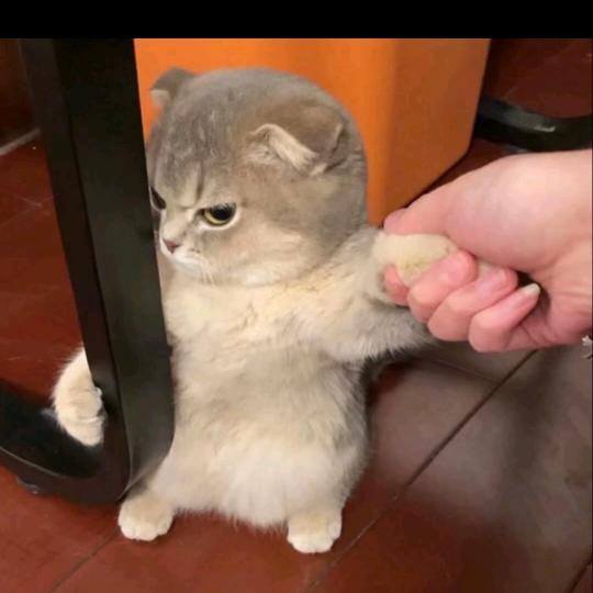 叫我小韩!