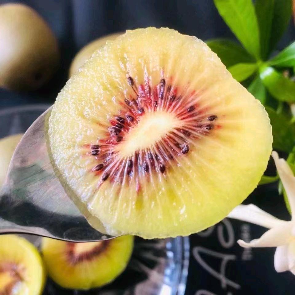 江山，出租婚车找我