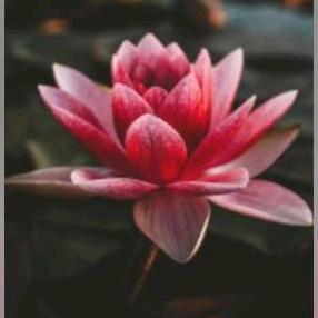 天天开心😊😊